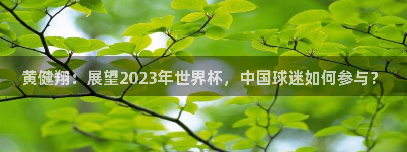 世界杯足球2026：黄健翔：展望2023年世界杯，中国球迷如何参与？