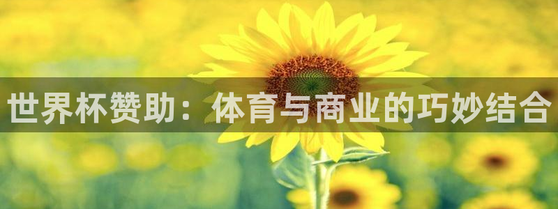 2026世界杯日期：世界杯赞助：体育与商业的巧妙结合