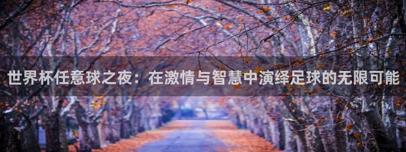 世界杯预选赛欧洲赛区赛程：世界杯任意球之夜：在激情与智慧中演绎足球的无限可能