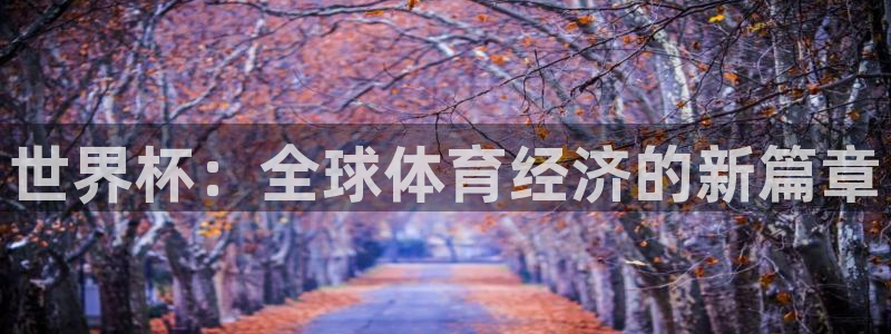 2026年世界杯对阵图：世界杯：全球体育经济的新篇章