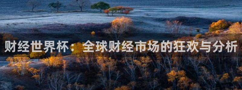 世界杯葡萄牙赛程：财经世界杯：全球财经市场的狂欢与分析
