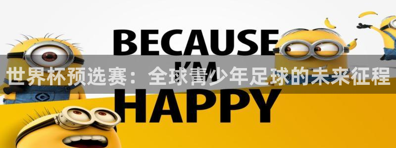 中国 世界杯：世界杯预选赛：全球青少年足球的未来征程
