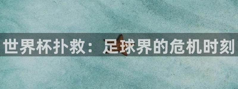 2026足球世界杯：世界杯扑救：足球界的危机时刻
