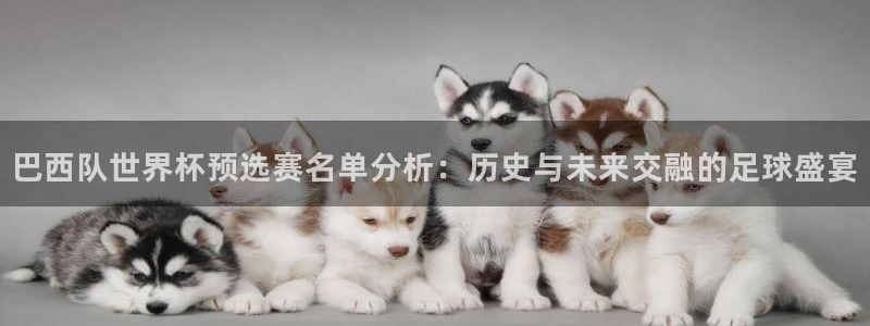 世界杯直播时间：巴西队世界杯预选赛名单分析：历史与未来交融的足球盛宴