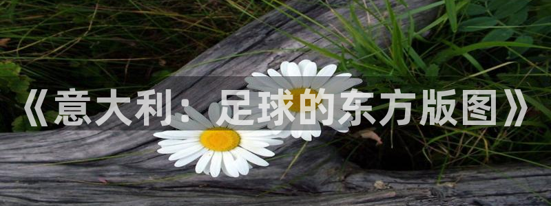 世界杯预赛赛程：《意大利：足球的东方版图》