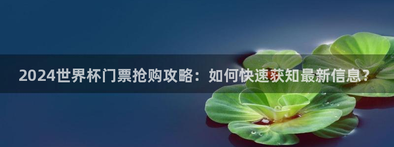 世界杯直播时间：2024世界杯门票抢购攻略：如何快速获知最新信息？