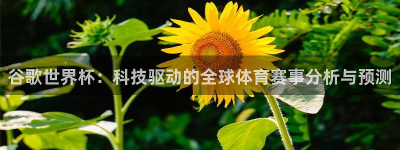 世界杯第一场比赛：谷歌世界杯：科技驱动的全球体育赛事分析与预测