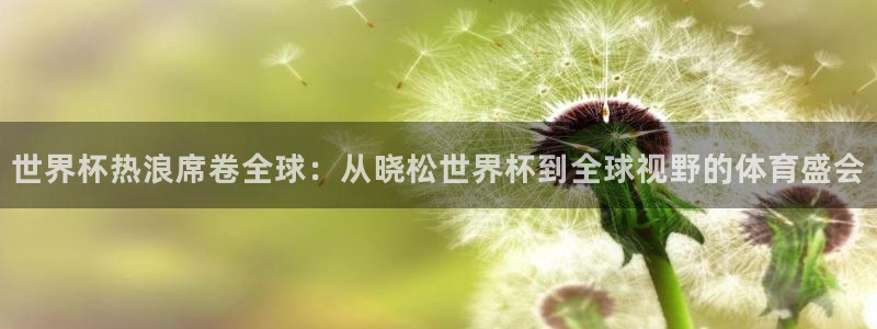 中国 世界杯：世界杯热浪席卷全球：从晓松世界杯到全球视野的体育盛会