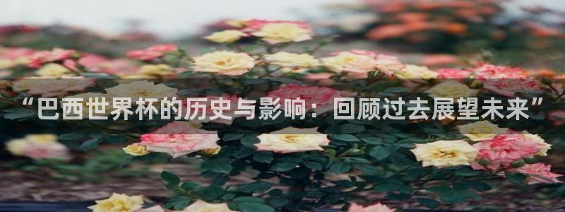 世界杯比赛直播：“巴西世界杯的历史与影响：回顾过去展望未来”