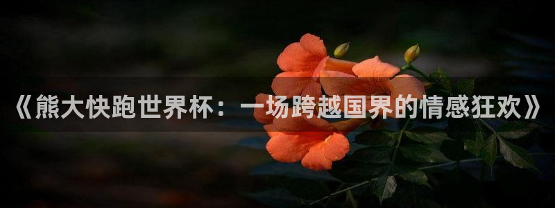 世界杯附加赛赛程表：《熊大快跑世界杯：一场跨越国界的情感狂欢》