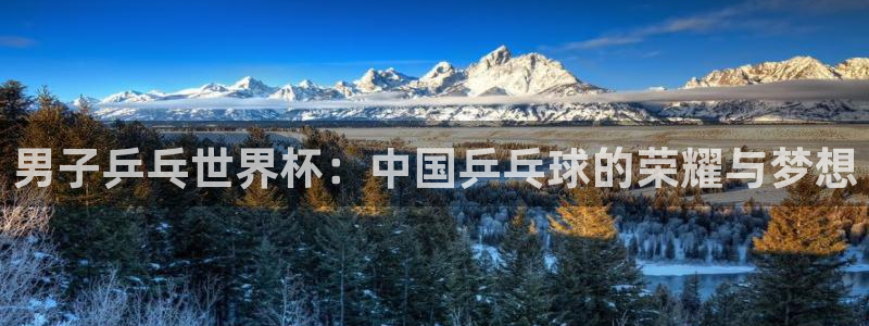 世界杯直播:男子乒乓世界杯:中国乒乓球的荣耀与梦想