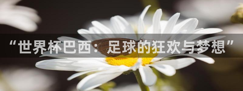 世界杯第一场比赛：“世界杯巴西：足球的狂欢与梦想”
