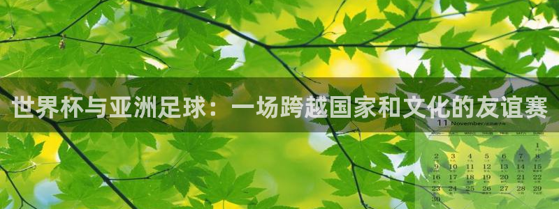 足球世界杯预选赛：世界杯与亚洲足球：一场跨越国家和文化的友谊赛